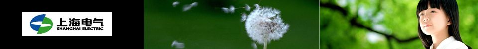 上海电气集团